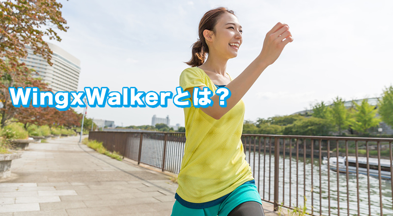 WingxWalkerとは？